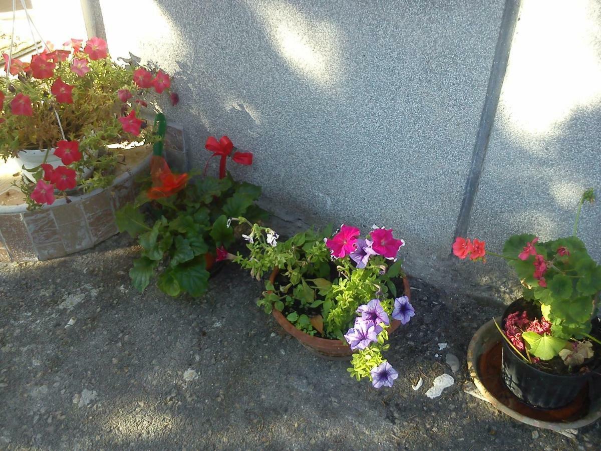 Apartman Svilno Rijeka Exterior foto